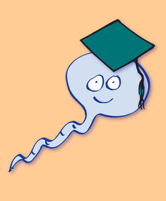 ZRM-Coach ein erfahrenes Würmli wird zum ZRM-Coach