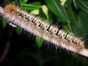 Wohin soll die Reise gehen?